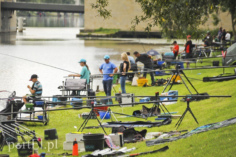Elbląg, Nad brzegiem rzeki Elbląg do niedzieli rywalizują wędkarze spławikowi