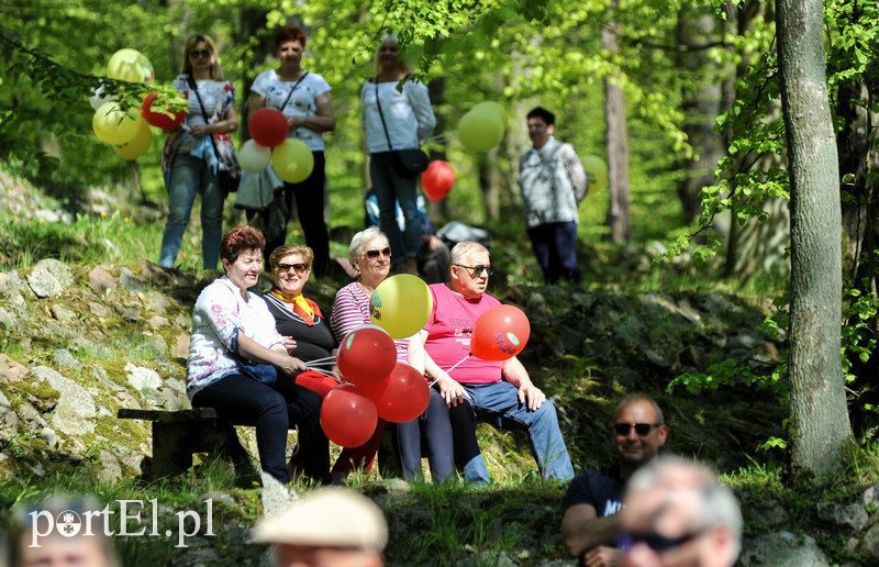 Elbląg, Bażantarnia to chętnie odwiedzane miejsce przez elblążan