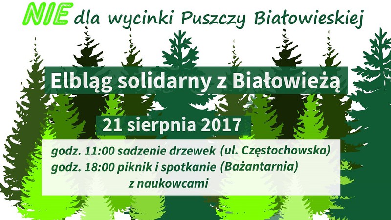 Elbląg, Elbląg solidarny z Białowieżą