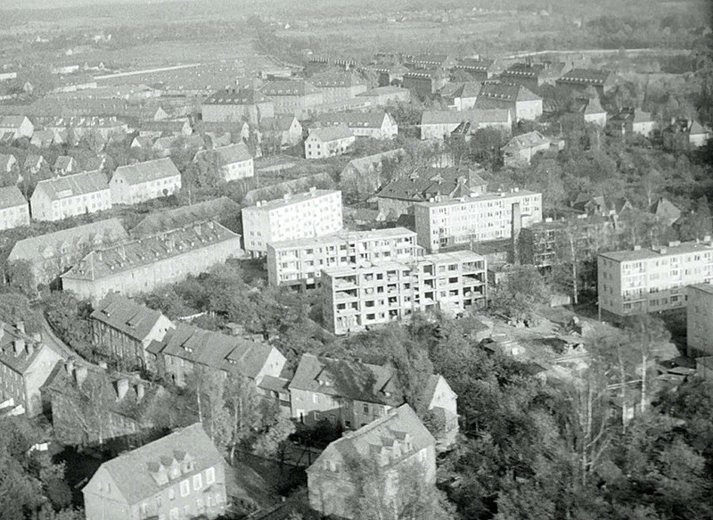 Elbląg, „Sielanka, to już 60 lat” – 5 grudnia w kinie Światowid Elbląg, „Sielanka, to już 60 lat” – 5 grudnia w kinie Światowid