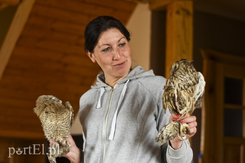 Elbląg, Anna Kamińska oddaje zwierzętom całe serce Elbląg, Anna Kamińska oddaje zwierzętom całe serce
