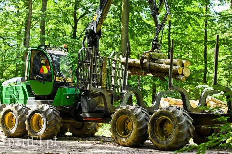 Elbląg, Forwarder - maszyna nie taka straszna Elbląg, Forwarder - maszyna nie taka straszna