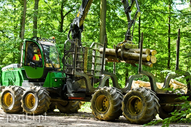 Elbląg, Forwarder - maszyna nie taka straszna