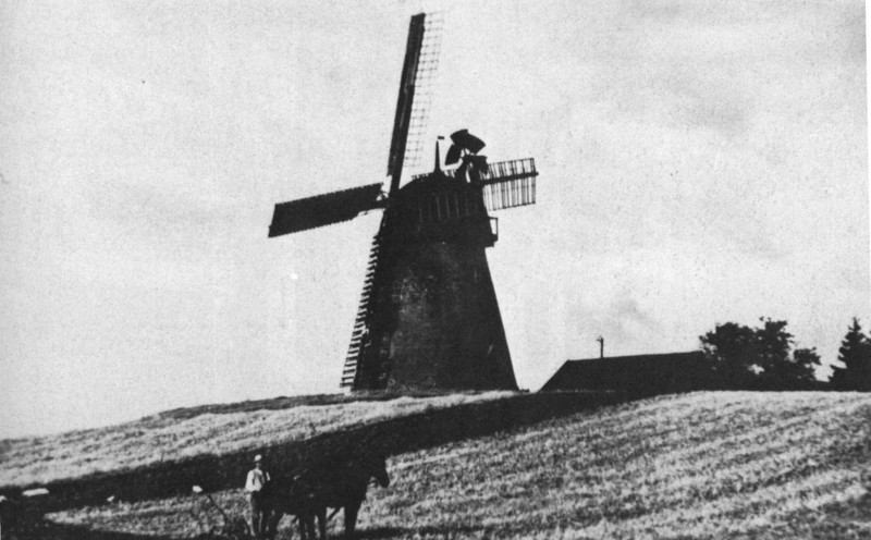 Elbląg, Wiatrak typu holenderskiego w Zielonce Pasłęckiej