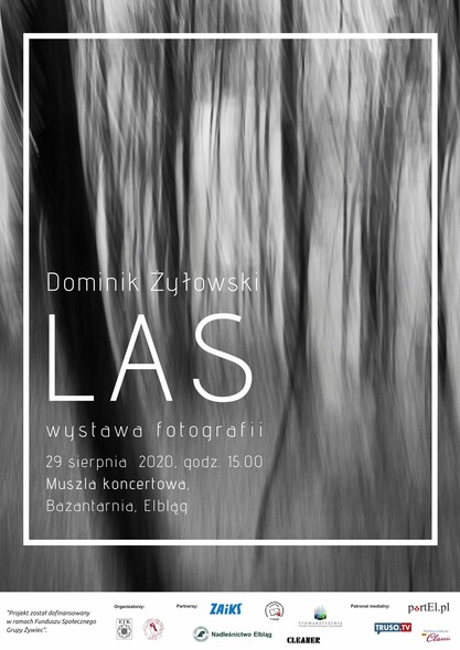 Elbląg, "Las". Fotograficzna wystawa w muszli koncertowej