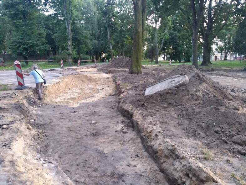 Elbląg, Sensacja w parku Traugutta Elbląg, Sensacja w parku Traugutta