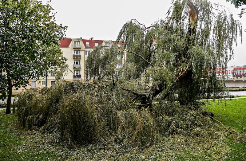 Elbląg, Ponad dwadzieścia interwencji strażaków w Elblągu i powiecie