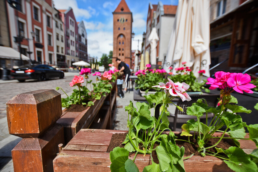 Elbląg, Ogródki przy restauracjach ożyją lada chwila