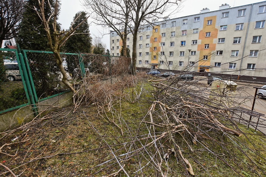 Elbląg, Ostre cięcie w Sielance, czyli czas na wiosenne porządki Elbląg, Ostre cięcie w Sielance, czyli czas na wiosenne porządki