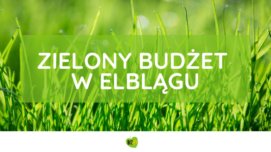 Elbląg, Zielony Budżet w Elblągu Elbląg, Zielony Budżet w Elblągu