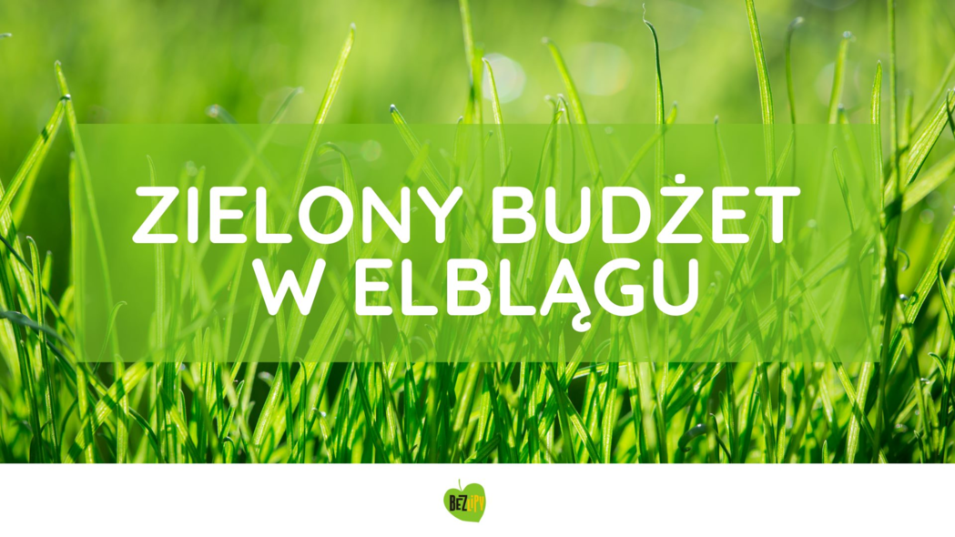 Elbląg, Zielony Budżet w Elblągu