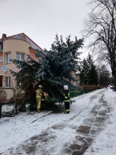 Elbląg, Strażacy z Krzewska przy pracy Elbląg, Strażacy z Krzewska przy pracy