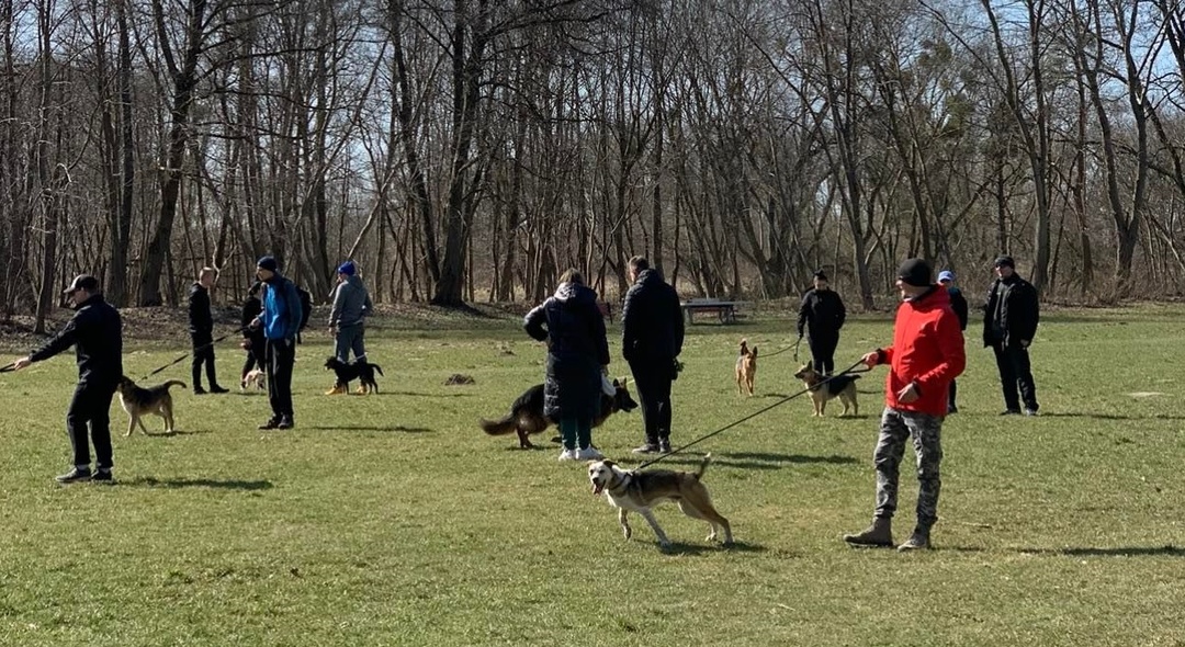 Elbląg, Powrócił „Bieg na 6 Łap” Elbląg, Powrócił „Bieg na 6 Łap”
