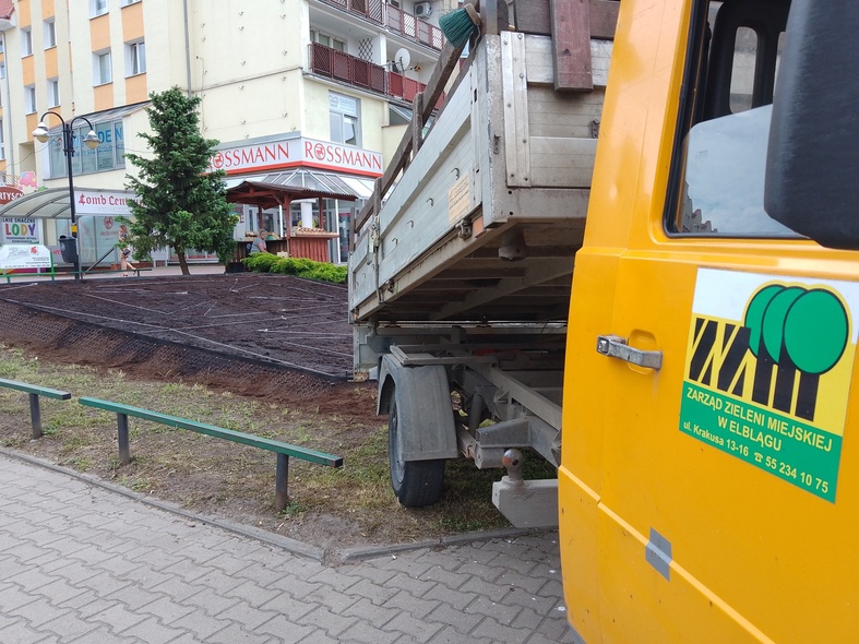 Elbląg, Elbląg przemówił kwiatami Elbląg, Elbląg przemówił kwiatami
