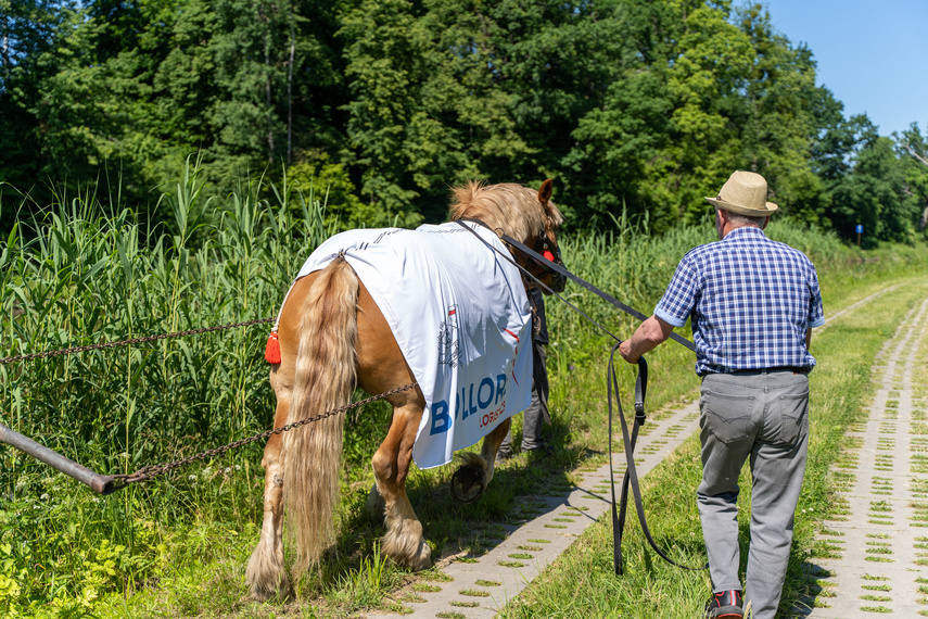 Elbląg, Tratwa, klacz i kanał