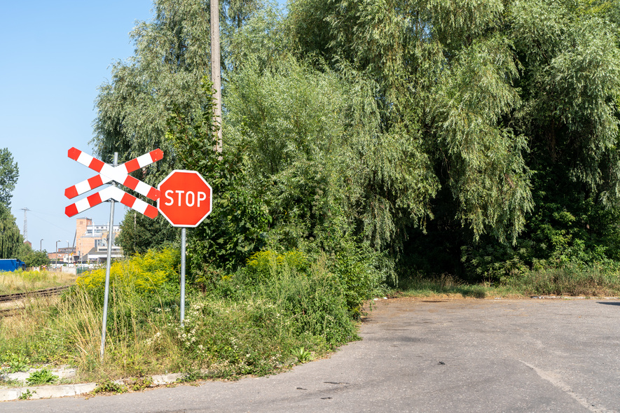 Elbląg, Na rzeczką, opodal krzaczka...
