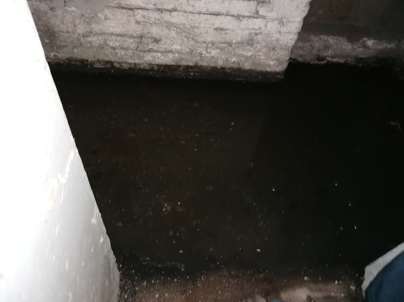 Elbląg, Piwnice często zalewane są wyciekami z kanalizacji Elbląg, Piwnice często zalewane są wyciekami z kanalizacji