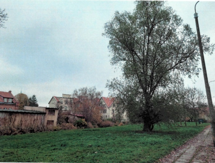 Elbląg, Widok w kierunku szkoły. Elbląg, Widok w kierunku szkoły.