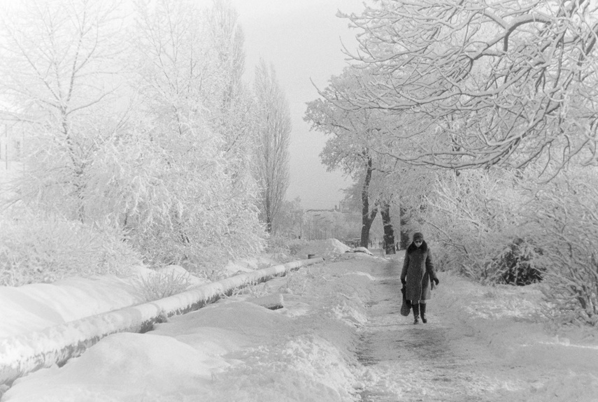 Elbląg, Elbląg podczas Grudnia 1970 w obiektywie (Elbląskie Archiwum Foto)