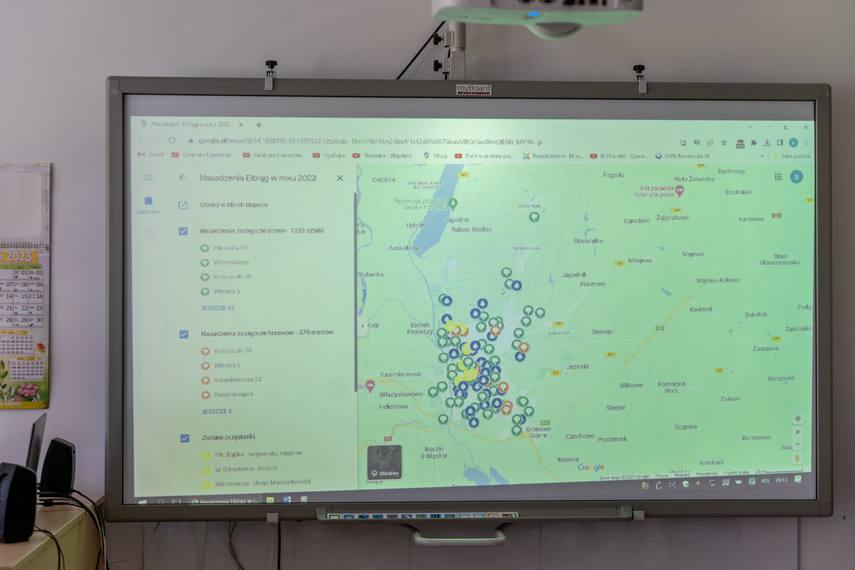 Elbląg, Ekologiczna mapa nasadzeń (bez aktualizacji) Elbląg, Ekologiczna mapa nasadzeń (bez aktualizacji)