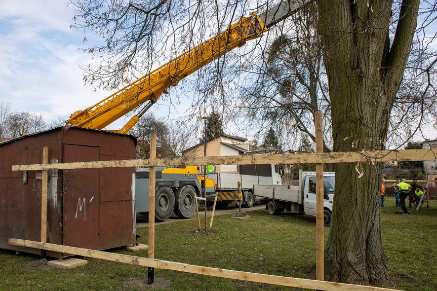 Elbląg, Ogród Różany zaczyna przemiany