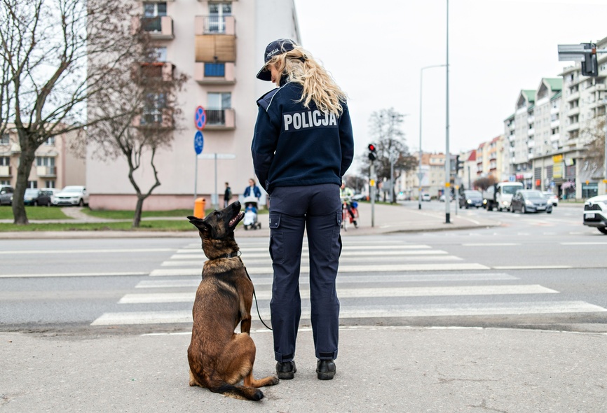 Elbląg, "Spraw dotyczących zwierząt wpływa do nas coraz więcej"