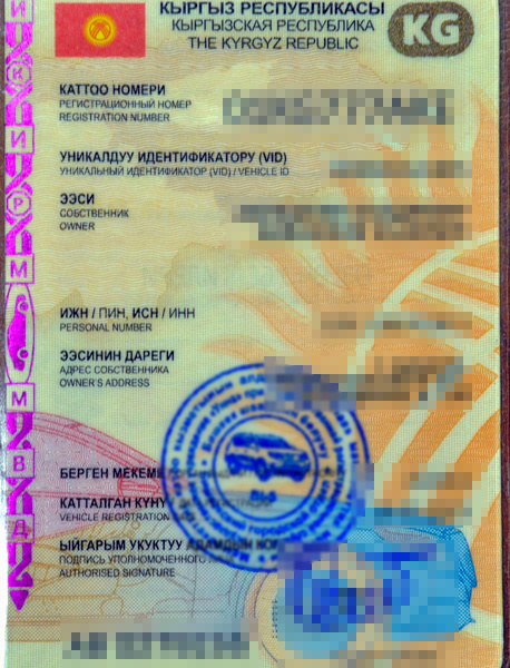 Elbląg, Chciał oszukać funkcjonariuszy SG Elbląg, Chciał oszukać funkcjonariuszy SG