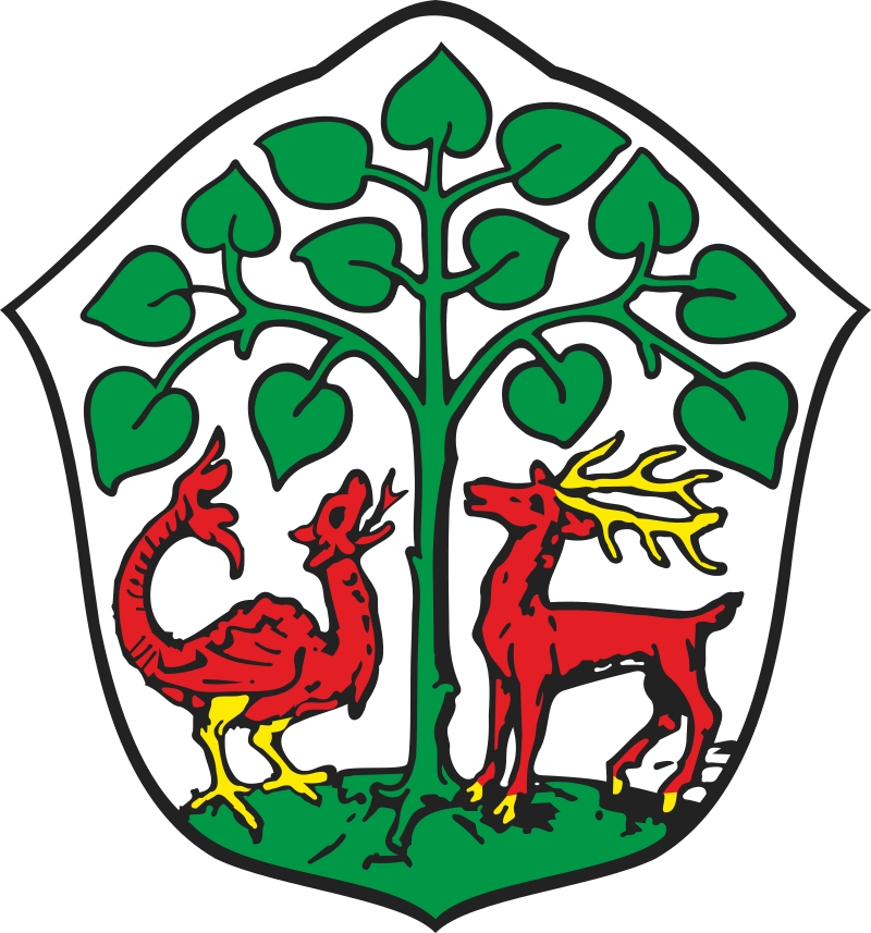 Elbląg, Obecny herb Braniewa