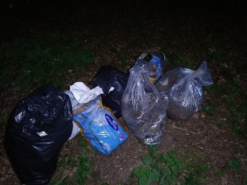 Elbląg, Inicjatywa wiązała się m. in. ze sprzątaniem Bażantarni. Elbląg, Inicjatywa wiązała się m. in. ze sprzątaniem Bażantarni.