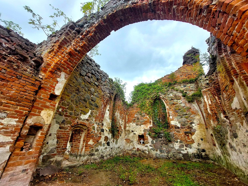 Elbląg, Pęciszewo,