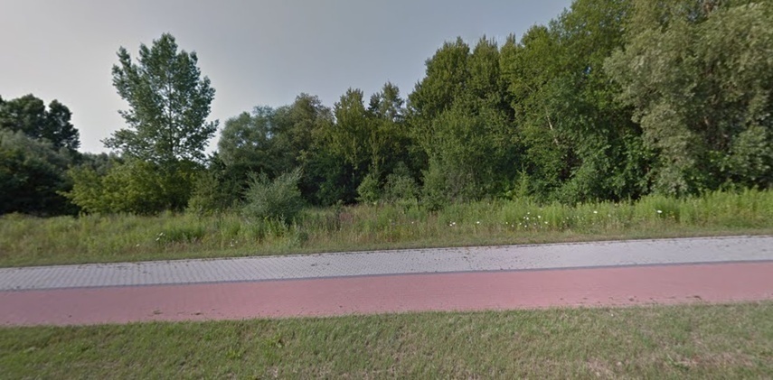 Elbląg, Działka znajduje się między firmami Metal Expert i Liralightng tuż obok ścieżki rowerowej