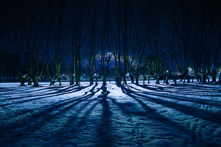 Elbląg, Fotka Roku autorstwa Michała Libudy