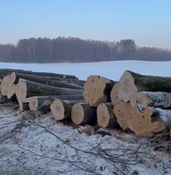 Elbląg, Czytelnik: najpierw piła, potem refleksja?
