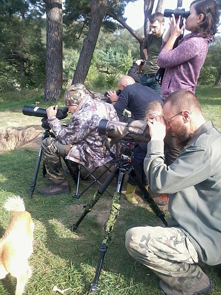 Elbląg, Obserwacja ptaków (fot, Mirosław Gawron)