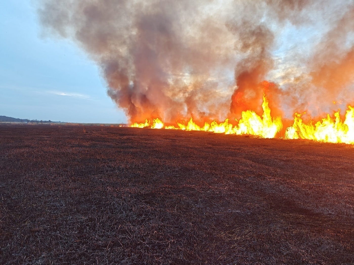 Elbląg, Pożar trzcinowiska i ciężarówki