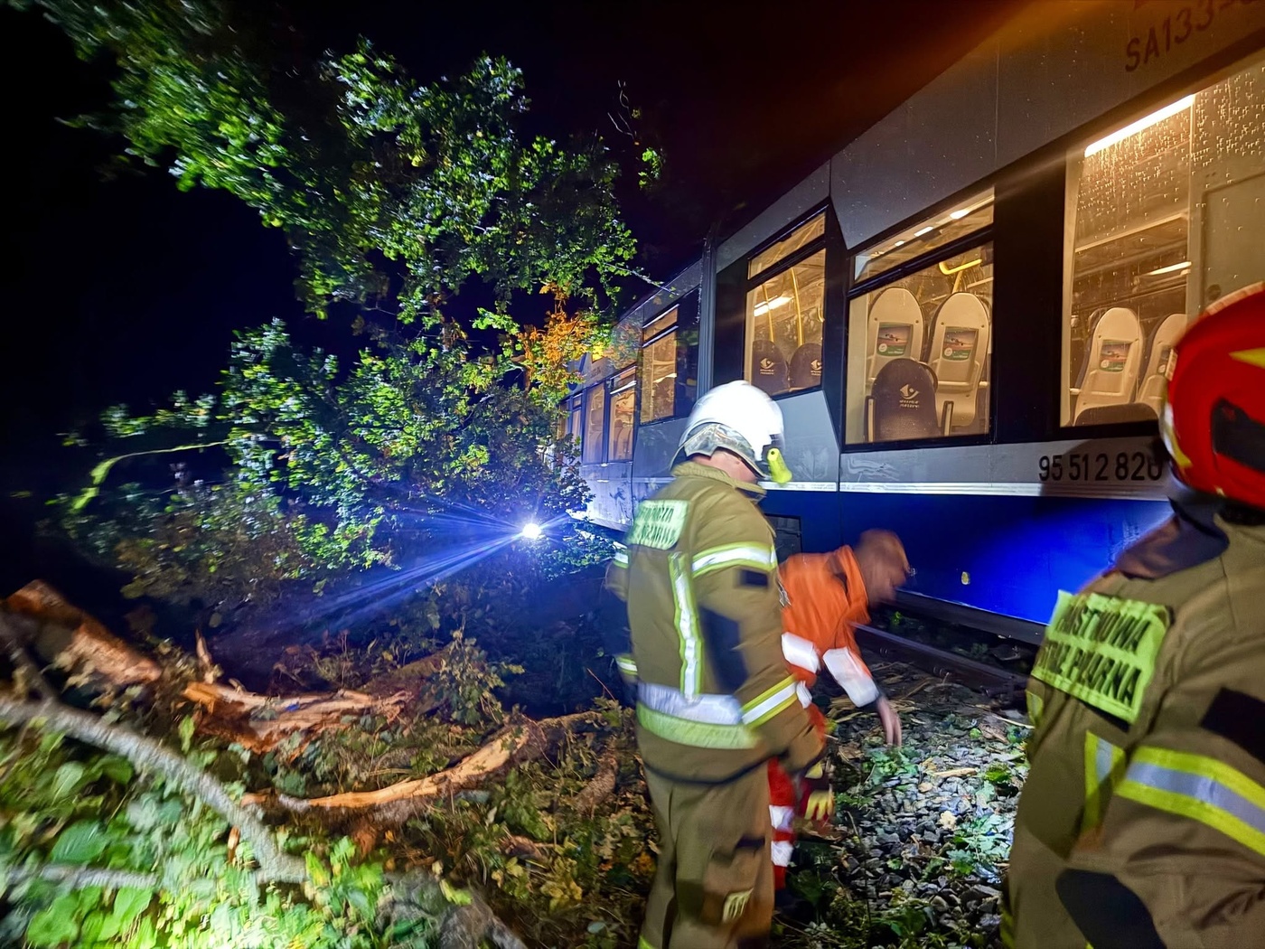 Elbląg, Szynobus uderzył w drzewo leżące na torach