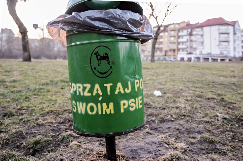 Elbląg, Psie odchody najlepiej wrzucać do takich pojemników, ale do zwykłych koszów też można