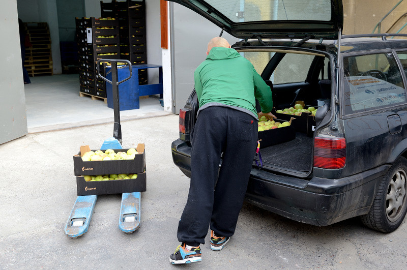 Elbląg, Bank Żywności rozdaje tony jabłek