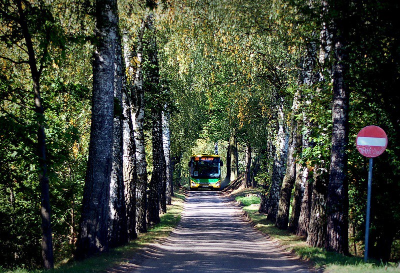 Elbląg, Elbląska komunikacja miejska w obiektywie elblążan. Wyniki Elbląg, Elbląska komunikacja miejska w obiektywie elblążan. Wyniki