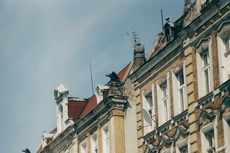 Elbląg, Orzeł na jednej z kamienic przy alei Grunwaldzkiej