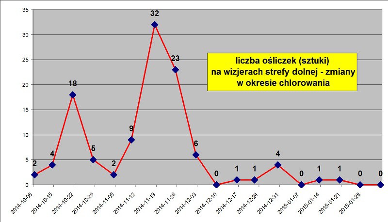 Elbląg, Mniej ośliczki w wodzie, walka trwa