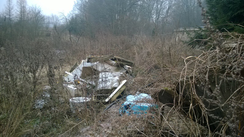 Elbląg, Tak to miejsce wyglądał przed rozpoczęciem inwestycji