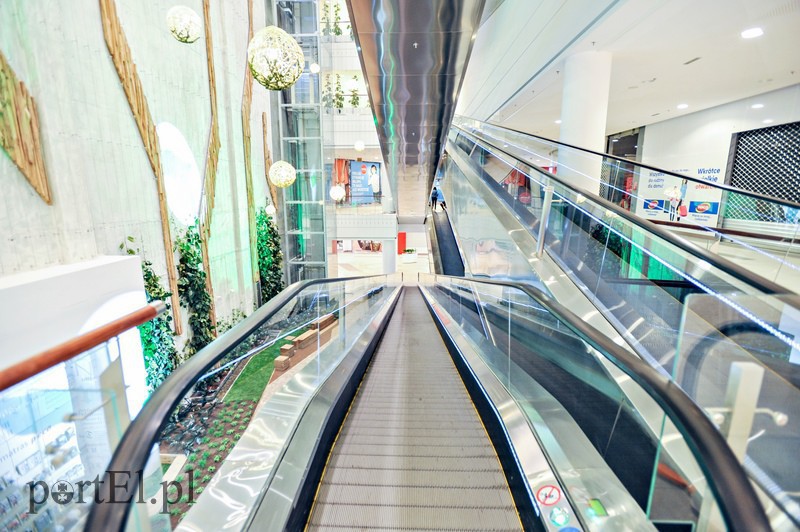 Elbląg, Zgodnie z projektem architektonicznym pracowni ESA - na ścianach galerii są motywy organiczne nawiązujące do nazwy "Ogrody" Elbląg, Zgodnie z projektem architektonicznym pracowni ESA - na ścianach galerii są motywy organiczne nawiązujące do nazwy "Ogrody"