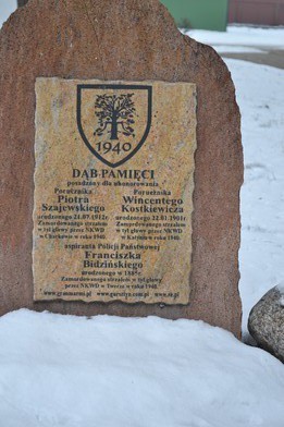 Elbląg, Obelisk przy dębie pamięci, który znajduje się przy SP nr 14 Elbląg, Obelisk przy dębie pamięci, który znajduje się przy SP nr 14