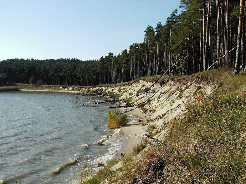 Elbląg, Widok z plaży na Zalew Wiślany w Piaskach, czyli Nowej Karczmie Elbląg, Widok z plaży na Zalew Wiślany w Piaskach, czyli Nowej Karczmie