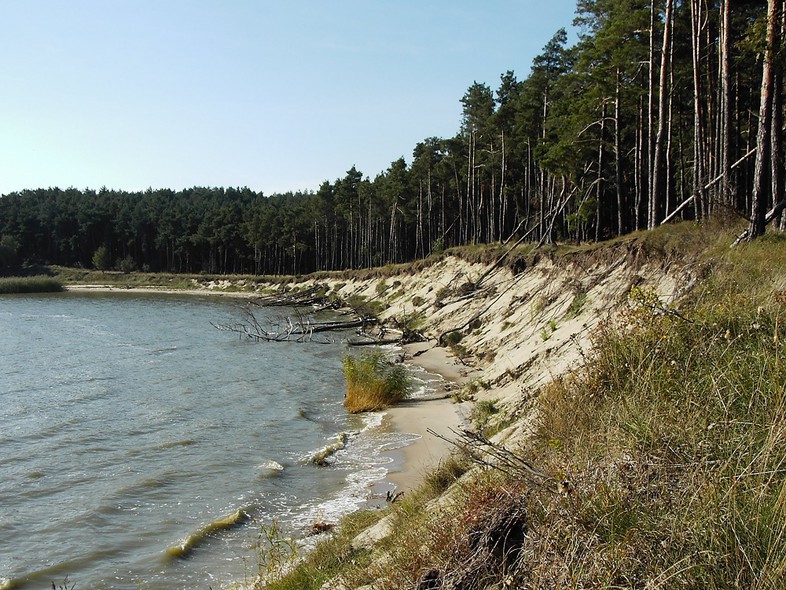 Elbląg, Widok z plaży na Zalew Wiślany w Piaskach, czyli Nowej Karczmie