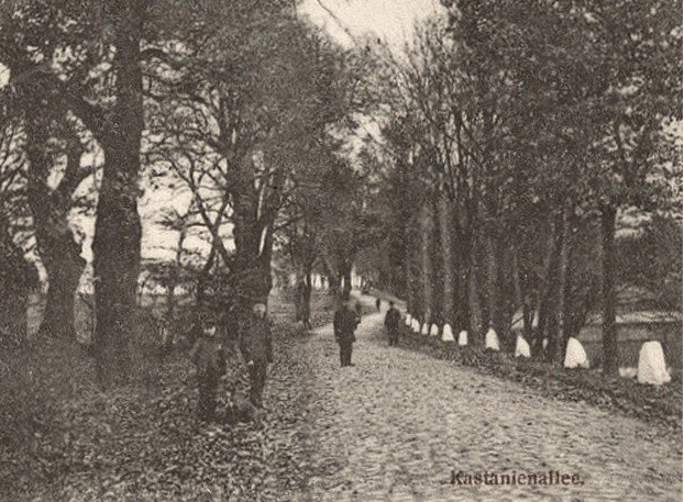 Elbląg, Historia okolic Elbląga: Godkowo i Piele (odc. 62) Elbląg, Historia okolic Elbląga: Godkowo i Piele (odc. 62)