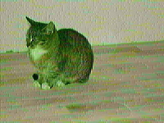 Elbląg BYĆ ALBO NIE BYĆ, OTO JEST PYTANIE - MIEĆ ŁADNĄ DECHĘ, CZY ZMIENIĆ ZDANIE.... CYKLINOWANIE BEZPYŁOWE,