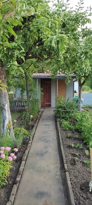 Elbląg SPRZEDAM DZIAŁKĘ ROD ŻWIRKI I WIGURY&nbsp; UL. SKRZYDLATA&nbsp; &nbsp; Powierzchnia 344 m2,działka ogrodzona,