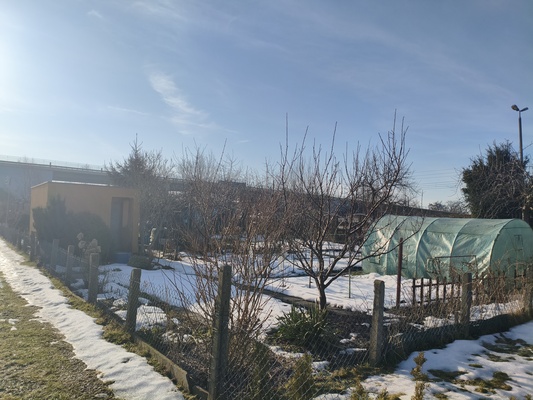 Elbląg 🌿 Twój zielony azyl w mieście! Wyjątkowa działka ROD przy ul. Druskiej na sprzedaż! 🏡